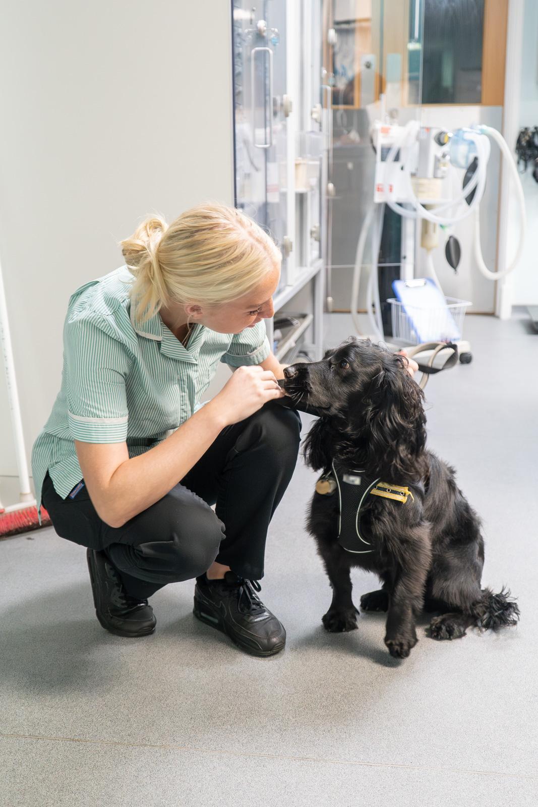 nurse comforting black dog